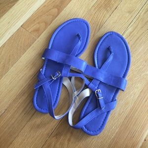 blue j.crew sandals