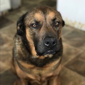 Meet your Posher, Kara