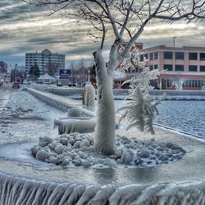 Meet your Posher, Chuck