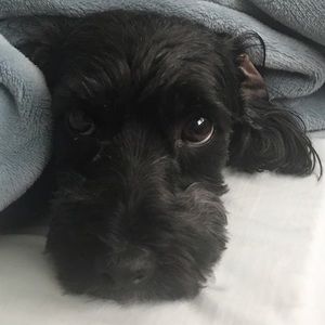 Meet your Posher, Haein