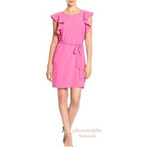 Banana Republic NWOT pink ruffle sleeve dress XS
