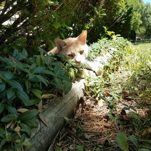 Meet your Posher, Meghan