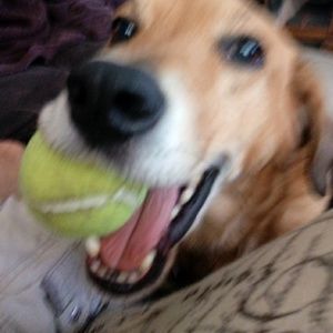 Meet your Posher, Cheryl