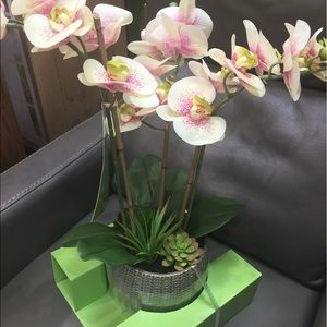 Meet your Posher, Heidi