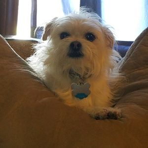 Meet your Posher, Candy