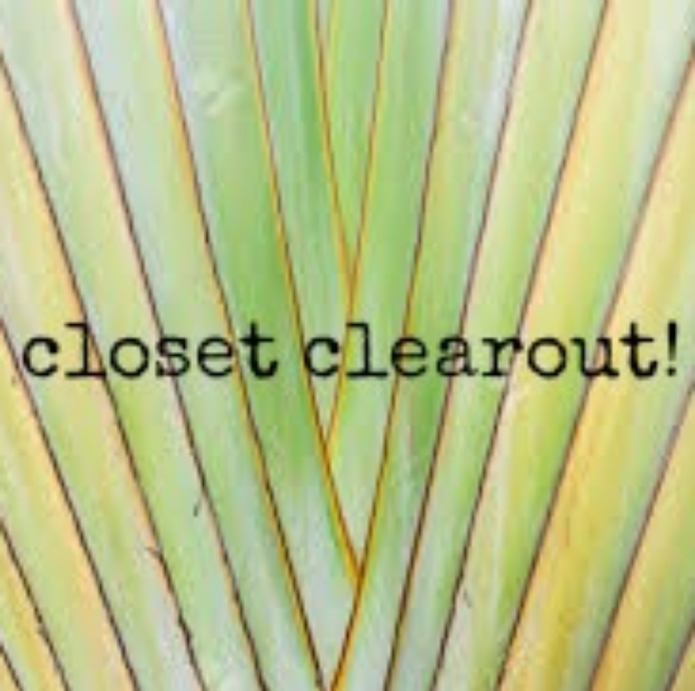 I finally organized my closet!