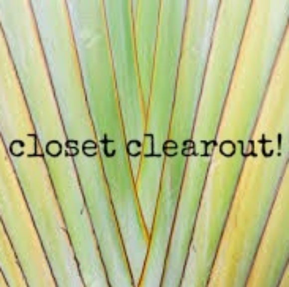 I finally organized my closet! - Picture 1 of 1
