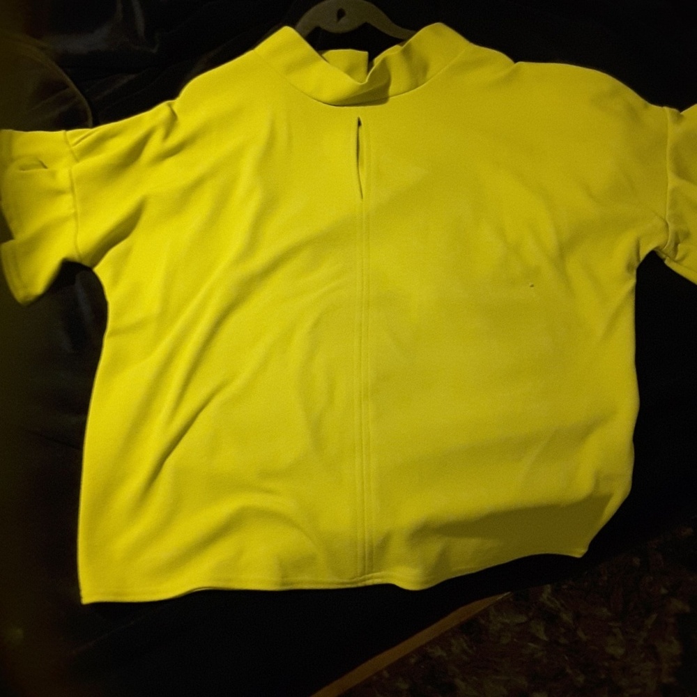 Brand new Ashley Stewart top