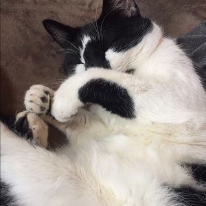 Meet your Posher, Libby
