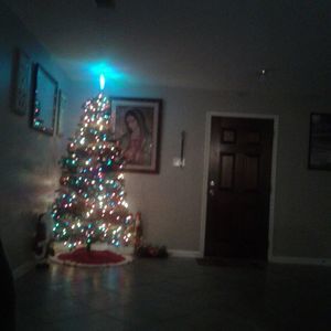 Meet your Posher, Salvador