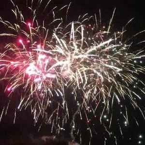 Meet your Posher, Patty