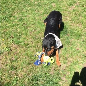 Meet your Posher, Mike