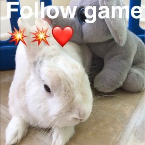 Follow Game