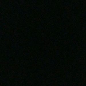 Meet your Posher, Carter