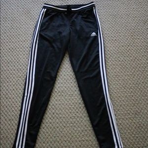 Adidas Condivo 16 Training Pants