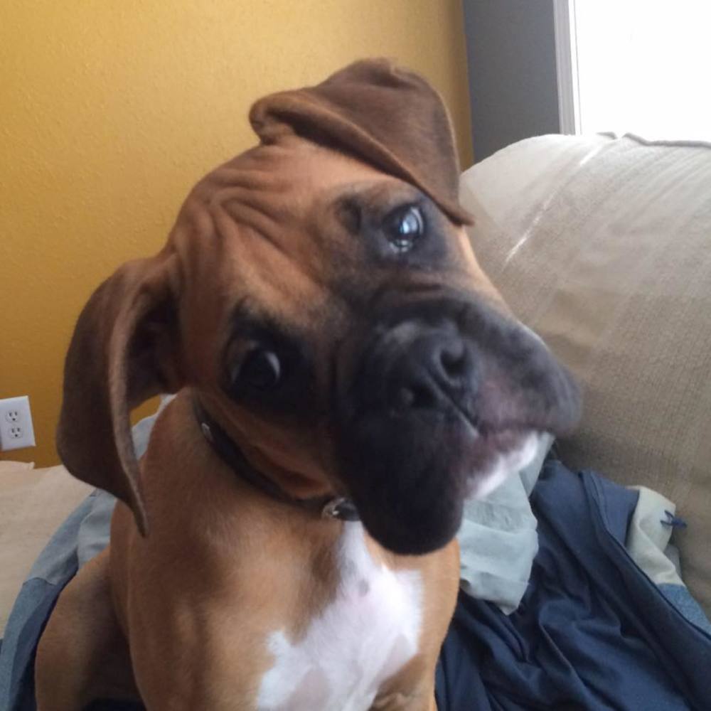 Meet your Posher, Tina