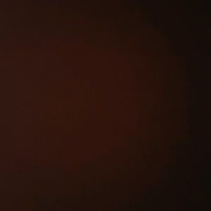 Meet your Posher, Leticia