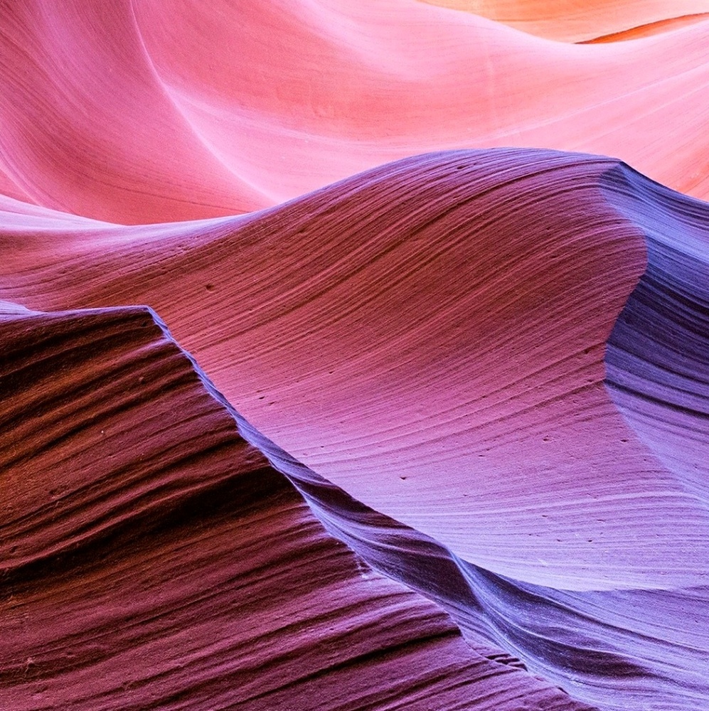 Meet your Posher, Skor