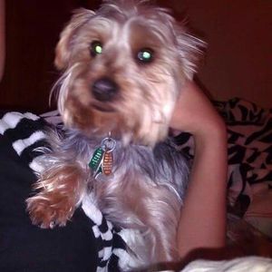 Meet your Posher, Trina