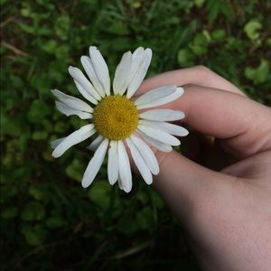 Meet your Posher, Cheyenne