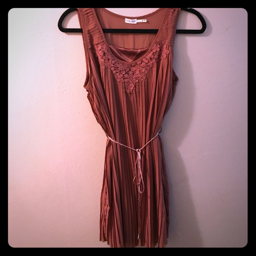 Blue Bird Cinnamon Pleated Dress