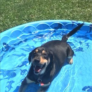 Meet your Posher, Grant