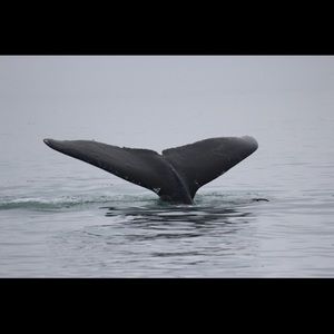 Meet your Posher, Mack