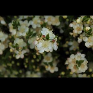 Meet your Posher, Hailey