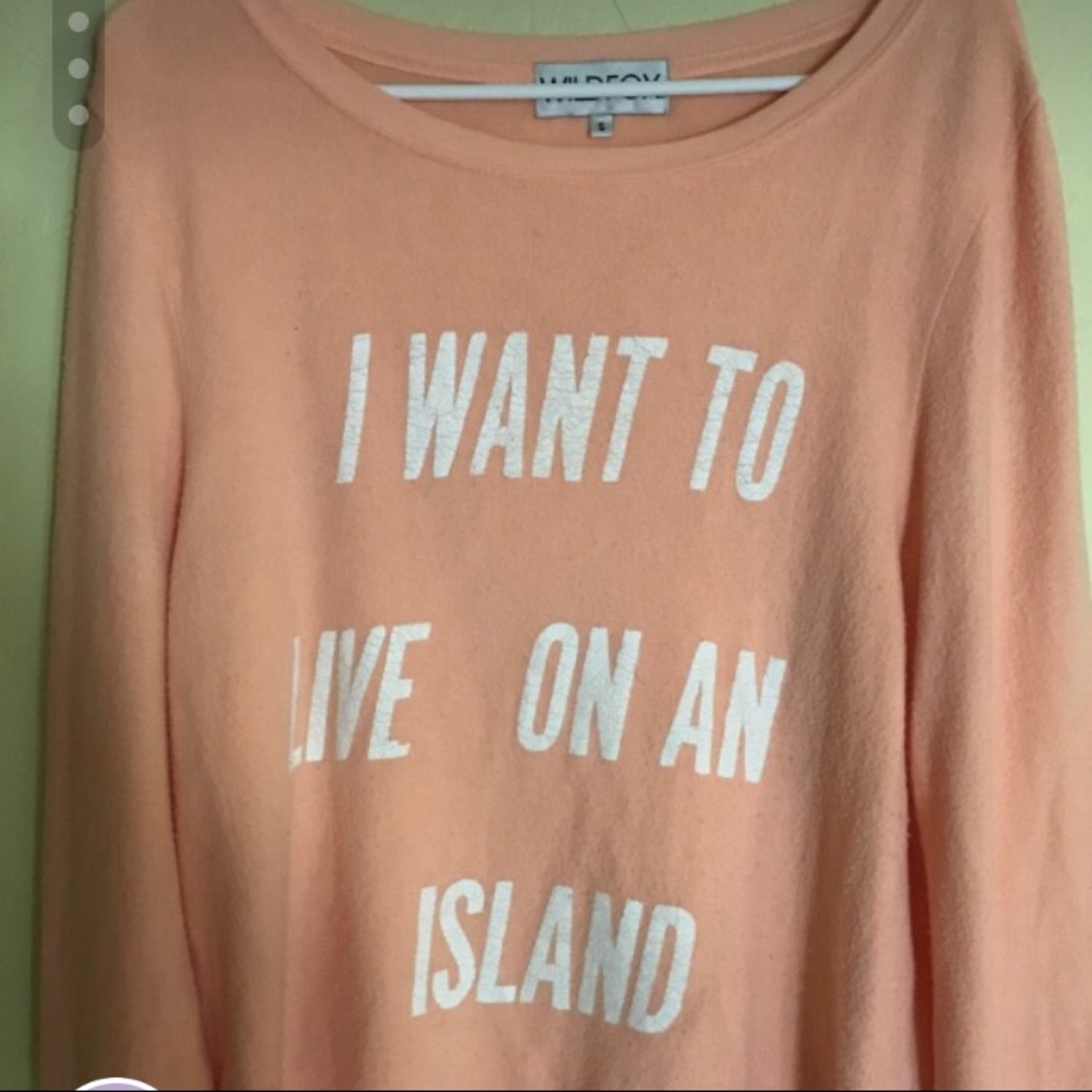Wildfox sweatshirt