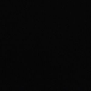 Meet your Posher, Abigail