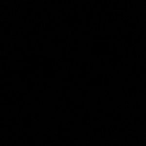 Meet your Posher, Elise