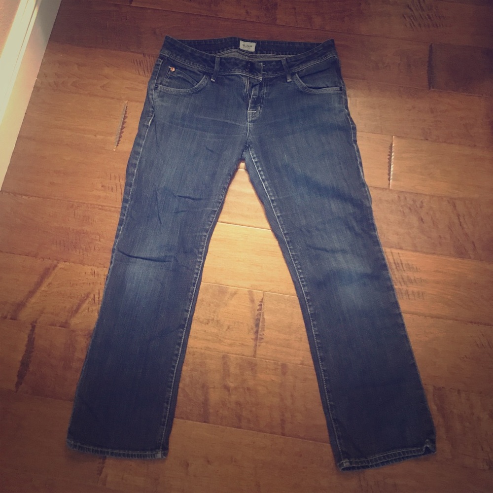Hudson Capris - size 31