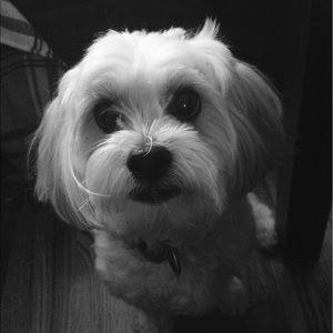 Meet your Posher, Cindy