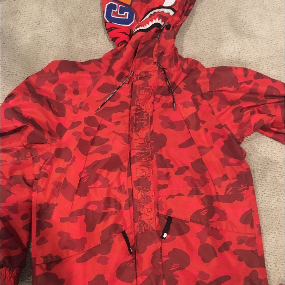 Bathing Ape hoodie