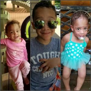 Meet your Posher, Ginger