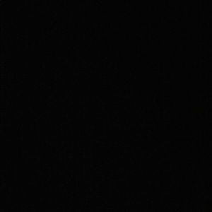 Meet your Posher, Peyton