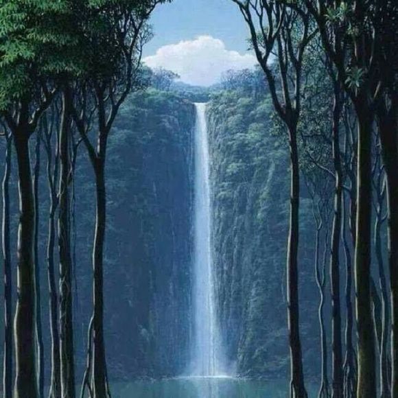 Meet your Posher, Ruth - Picture 1 of 1