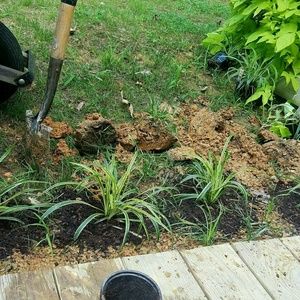 Meet your Posher, Alan