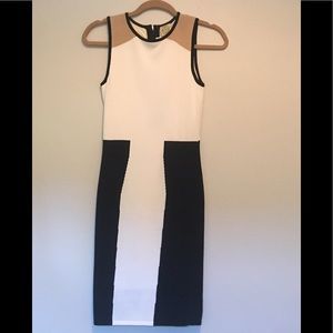 Torn by Ronny Kobo dress