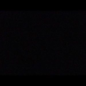 Meet your Posher, Leonardo