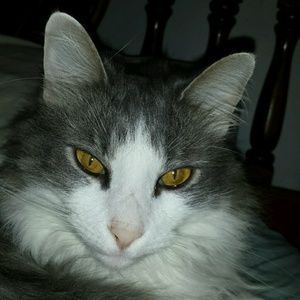 Meet your Posher, Kara