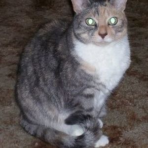 Meet your Posher, Marcia