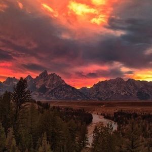 Meet your Posher, Colin