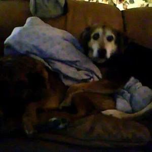 Meet your Posher, Sherie