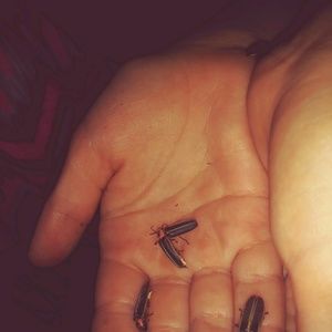 Meet your Posher, Serena