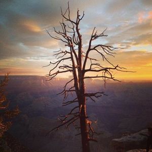 Meet your Posher, Sandy