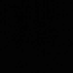 Meet your Posher, Fred