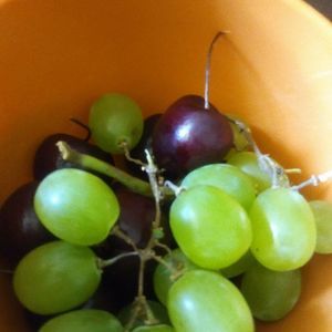 Meet your Posher, Shawn