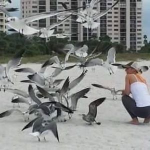 Meet your Posher, Ellen