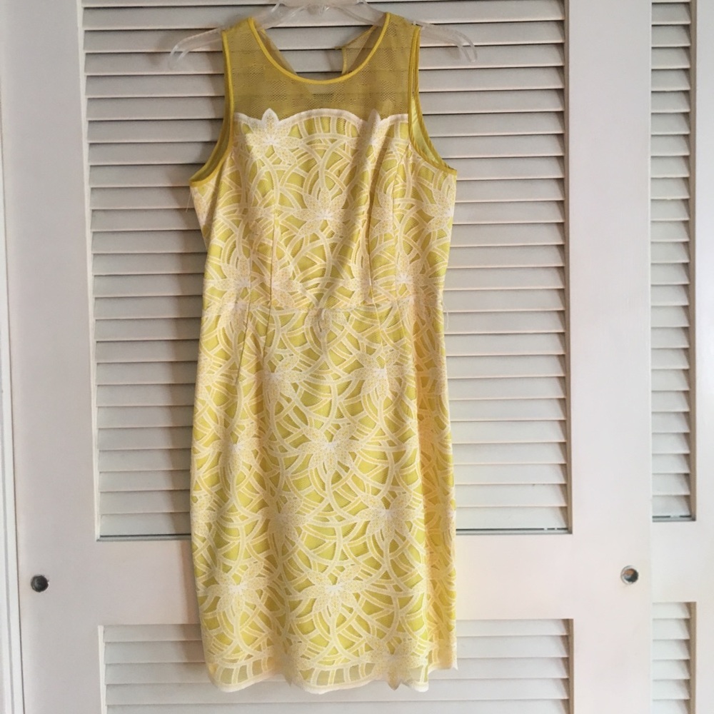 Maggy London dress